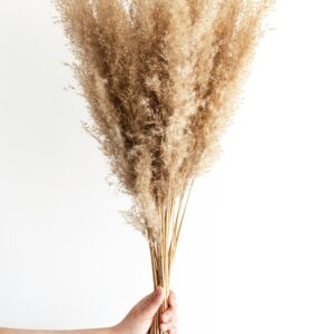 bouquet de pampas