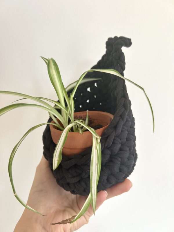 panier suspendu pour plantes